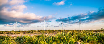 Des éoliennes.