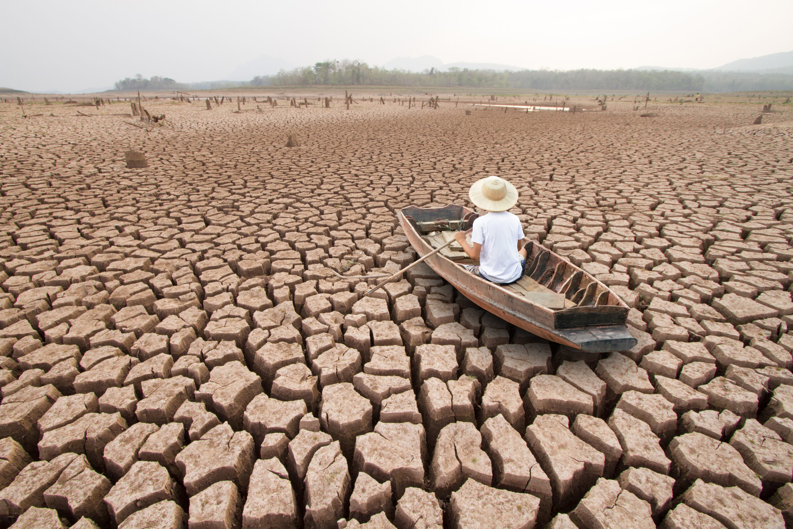Climate Change - Paris School of Economics