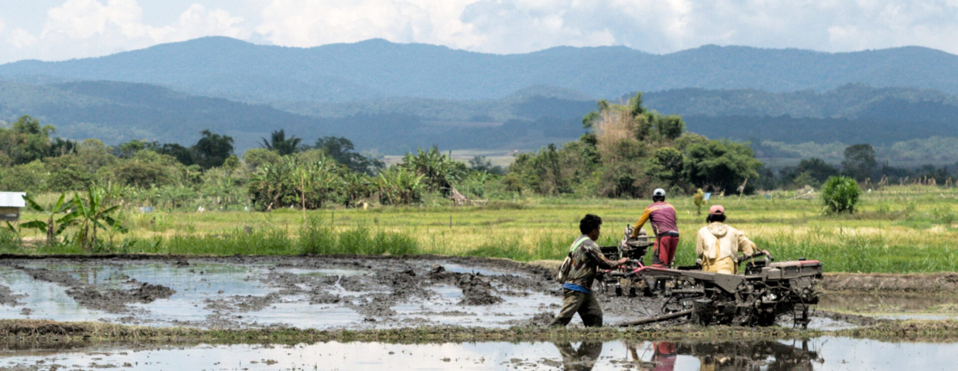 La Vie Agricole Dans Les Colonies Du Milieu Grandes Découvertes : Les
